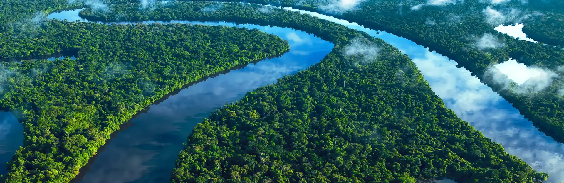 The Amazon swimming pool: nature scene