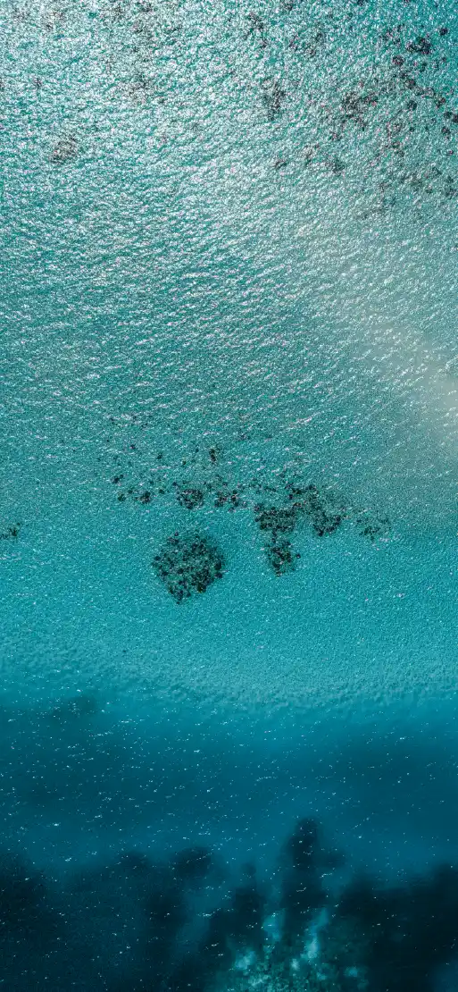 Tropic Cyan fiberglass pool color