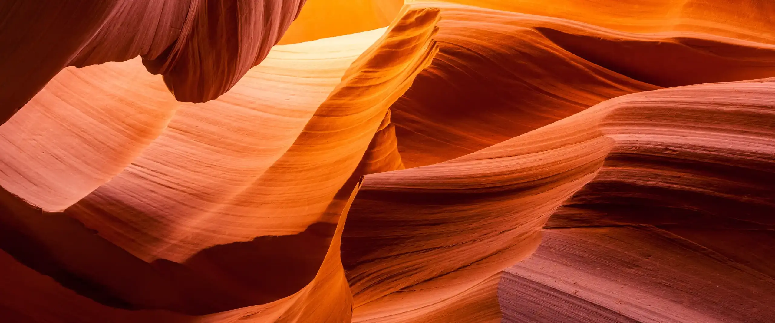 The Designer Fiberglass Pools journal: fiberglass pools blog 