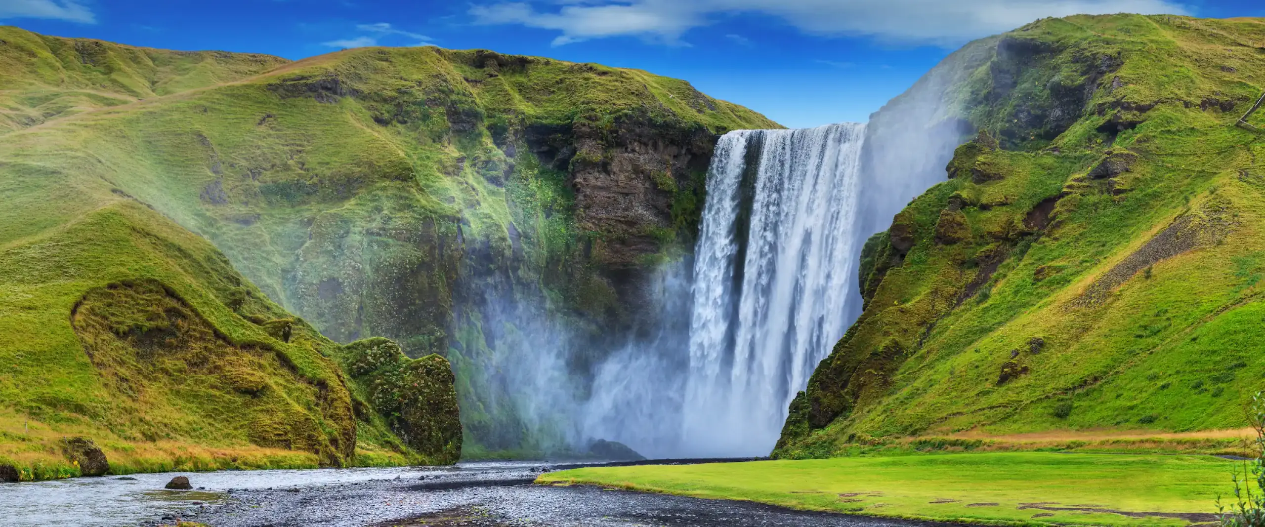 Pool designs that bring nature home to Charlotte, NC