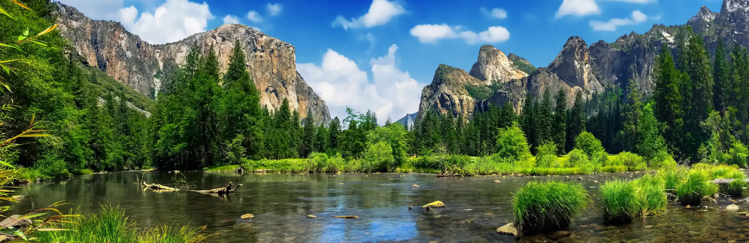 El Capitan backyard pool: nature scene