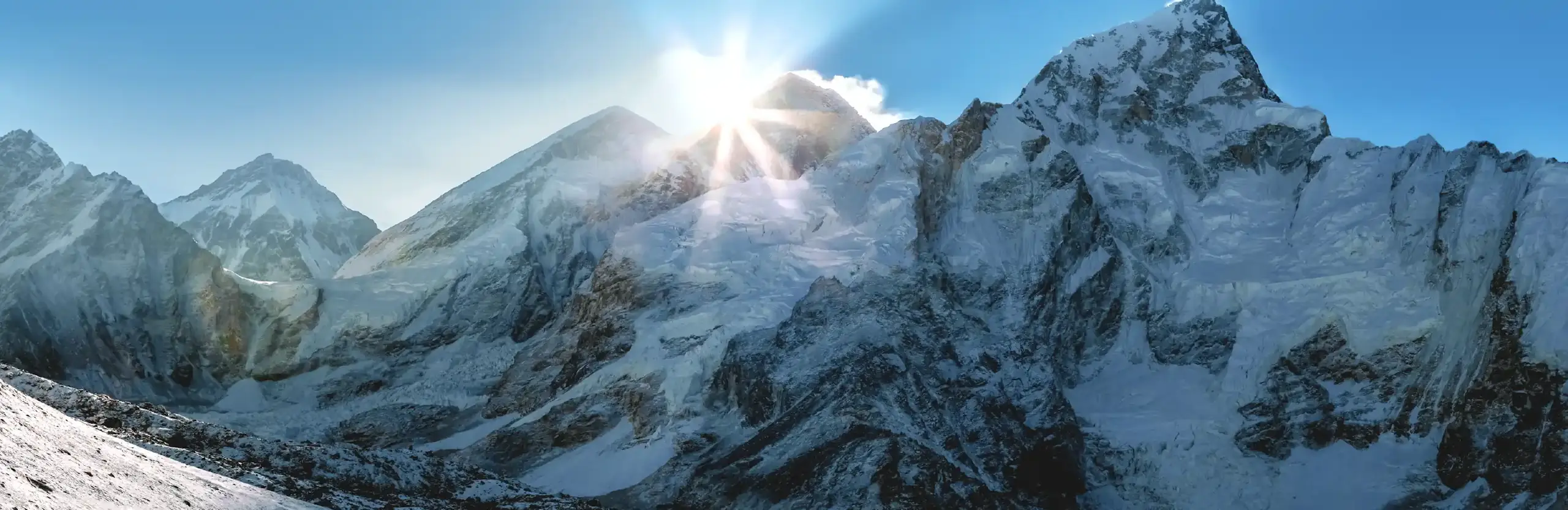 Everest backyard pool: nature scene