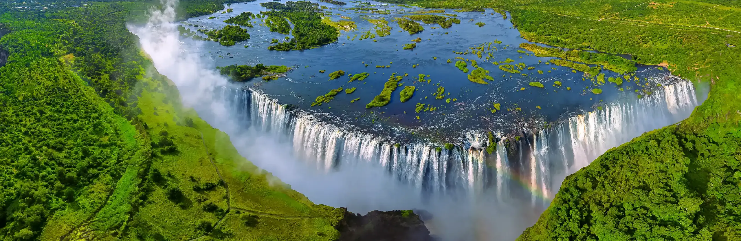 The Falls backyard pool: nature scene