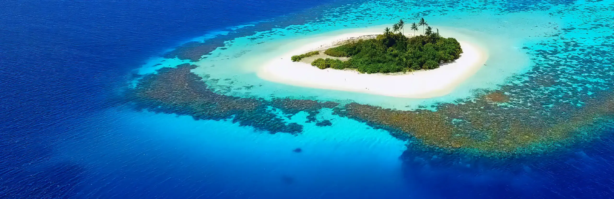 The Maldives backyard pool: nature scene