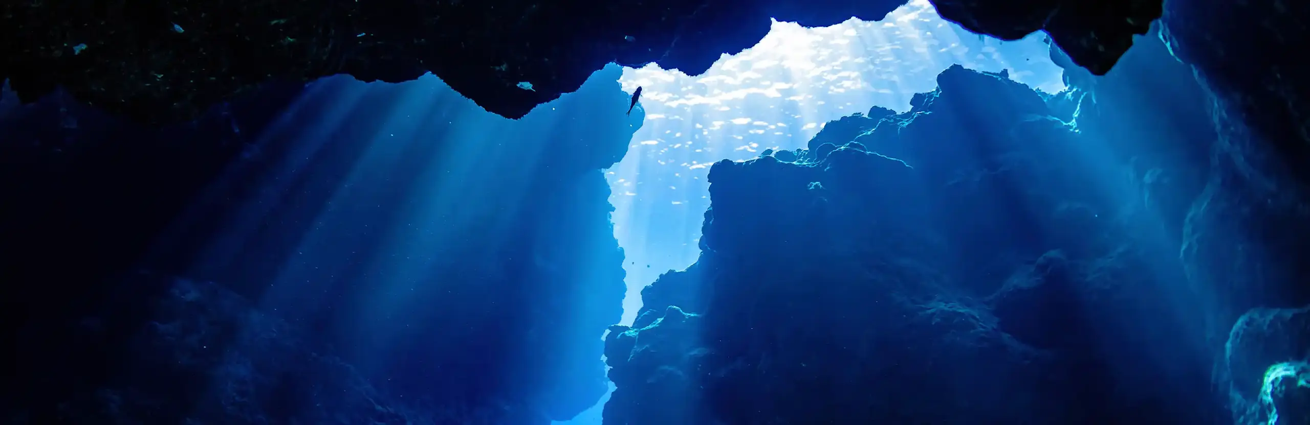 The Mariana backyard pool: nature scene