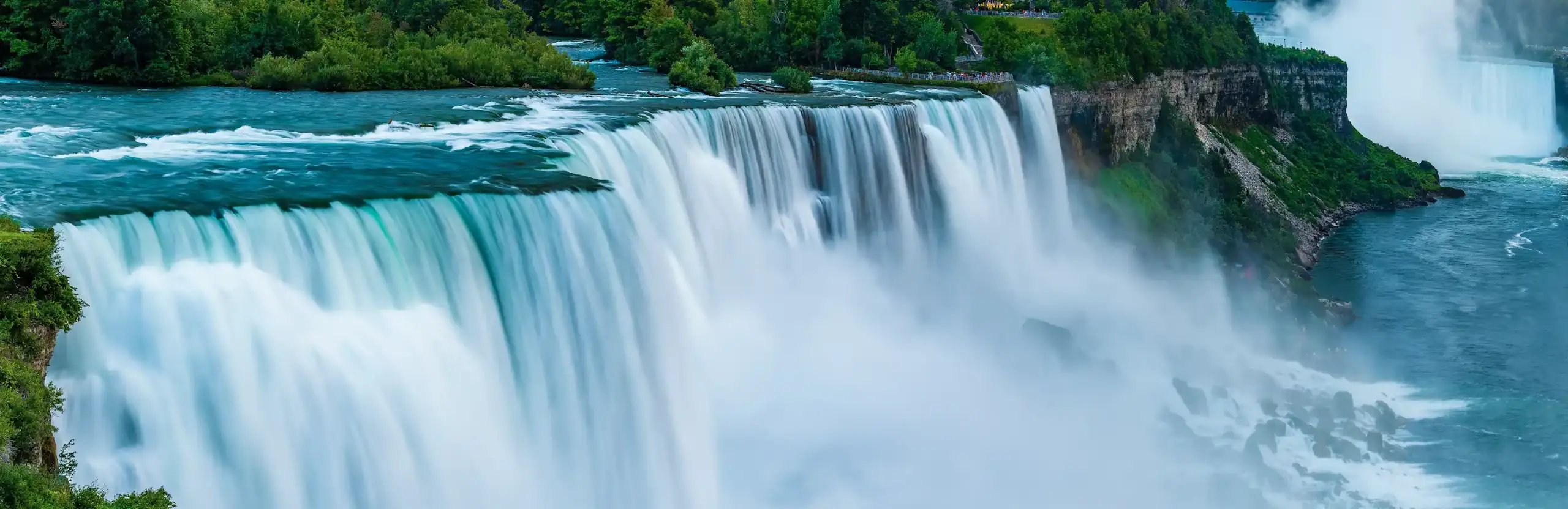 The Niagara backyard pool: nature scene