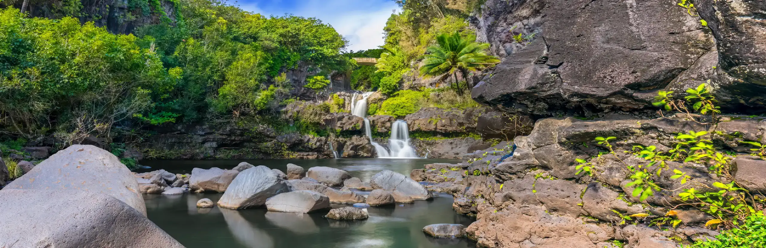 The Sacred nature scene